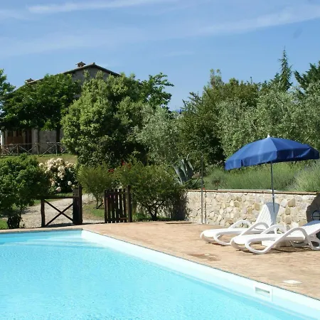 Amazing In With Swimming Pool